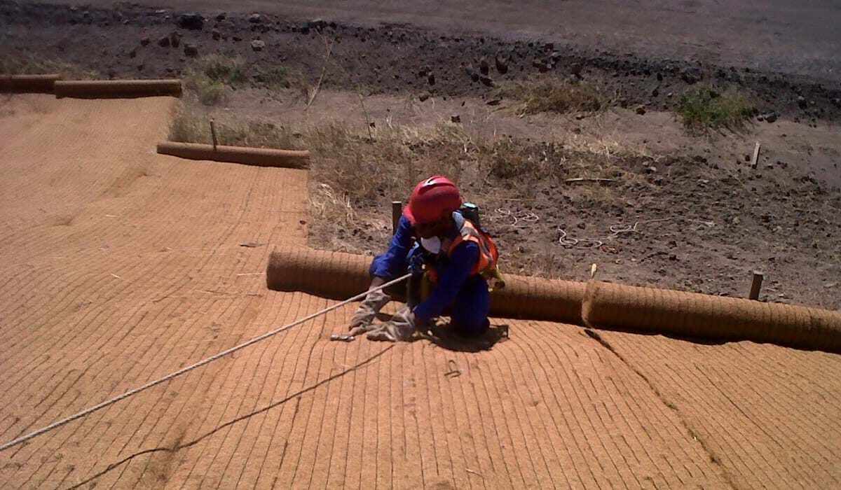 Soluções de Bioengenharia para Prevenção de Erosão em Obras Urbanas